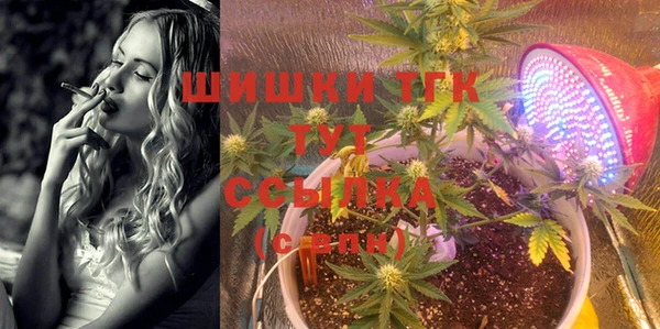 таблы Алзамай